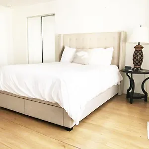 https://burns-court-wine-bar-apartment.hotelstampa.org